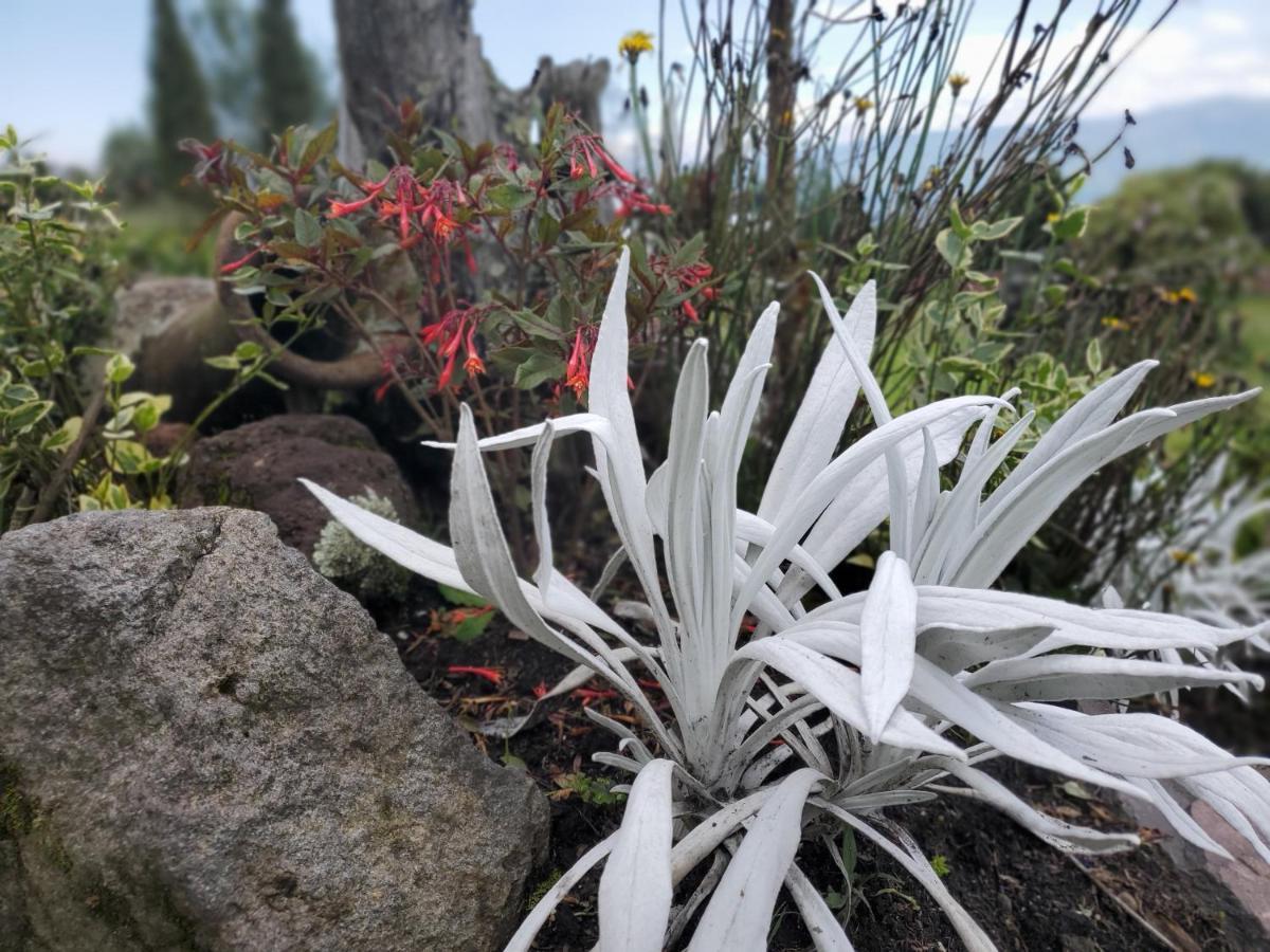 Balcon Al Cotopaxi Hosteria Sangolquí エクステリア 写真
