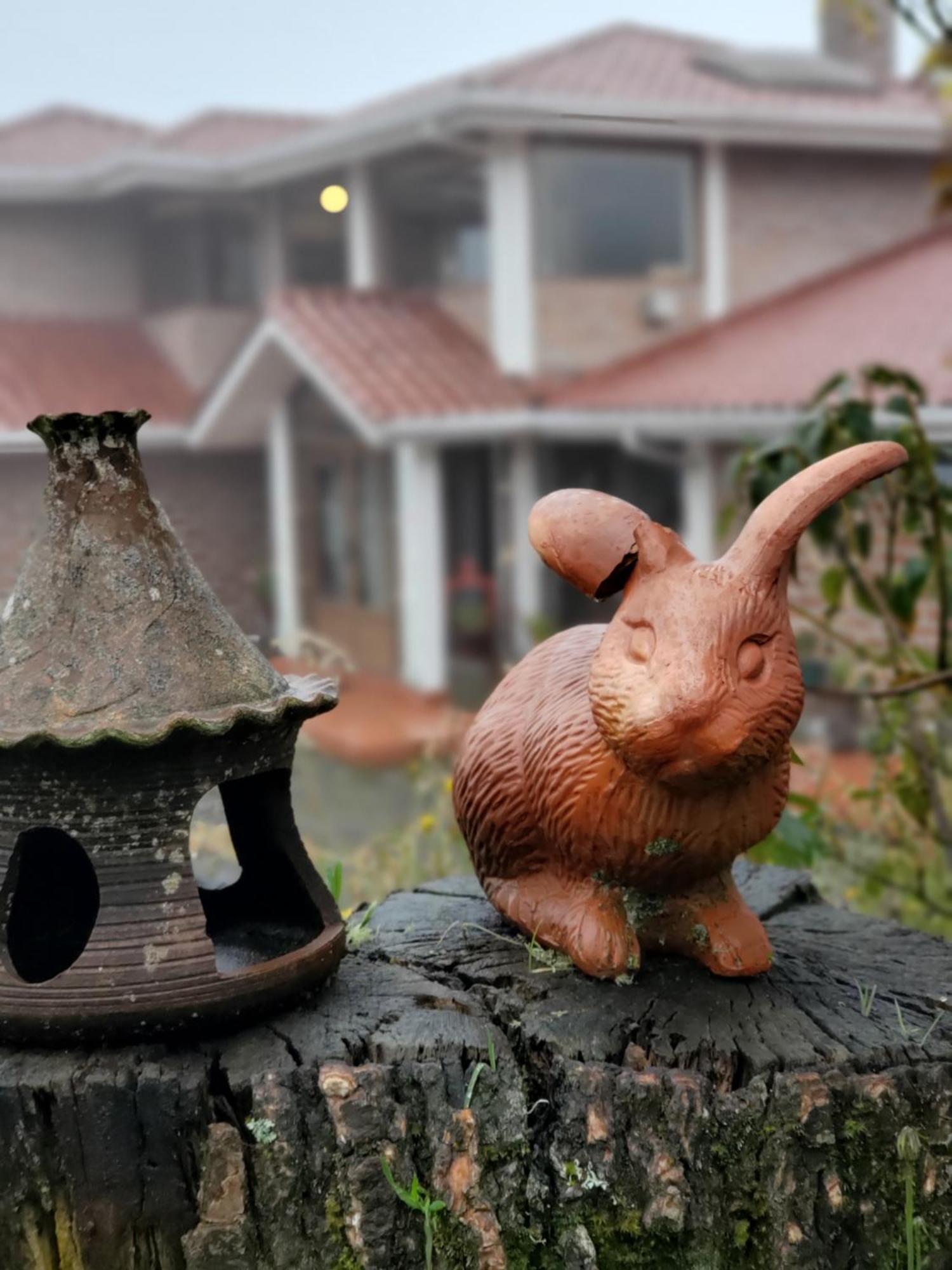 Balcon Al Cotopaxi Hosteria Sangolquí エクステリア 写真